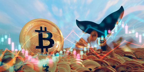 Mercados al día: precio de bitcoin repunta 40% en 2023 gracias a las ballenas