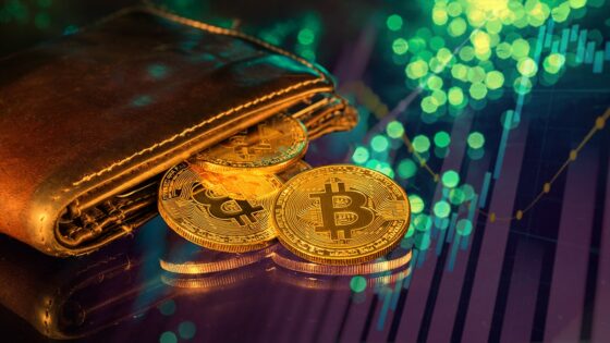 Compra de más de 200.000 bitcoins impulsa el precio de la criptomoneda 