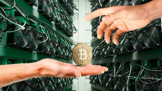 Peter Todd pagará tarifas infladas a mineros de Bitcoin que acepten transacciones Full RBF