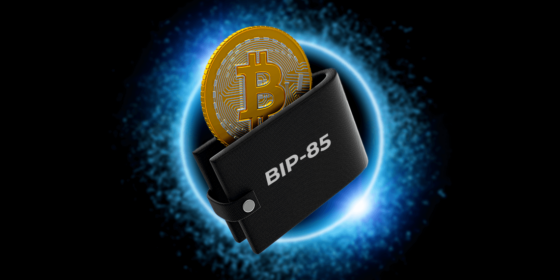 Conoce la BIP-85: una semilla maestra para todas tus wallets de Bitcoin